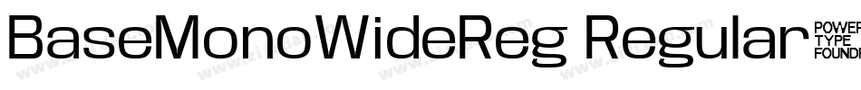 BaseMonoWideReg Regular字体转换